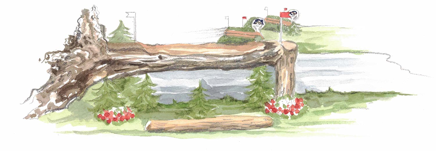 Luhmühlens Wasserspiele Luhmühlens Wasserspiele